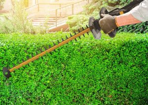 مقص شجيرات كاتربيلر، 18 فولت، 25 مم، 2.8 كجم، أسود وأصفر - DG220 - Image 4