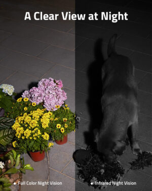 كاميرا يوفي سولار سبوتلايت للأمن، من أنكر، أسود T81243W1 - Image 4