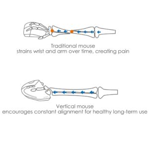 ⁦ماوس عمودي سلكي، 1600 نقطة في البوصة، من أنكر، أسود A7851011⁩ - الصورة ⁦5⁩